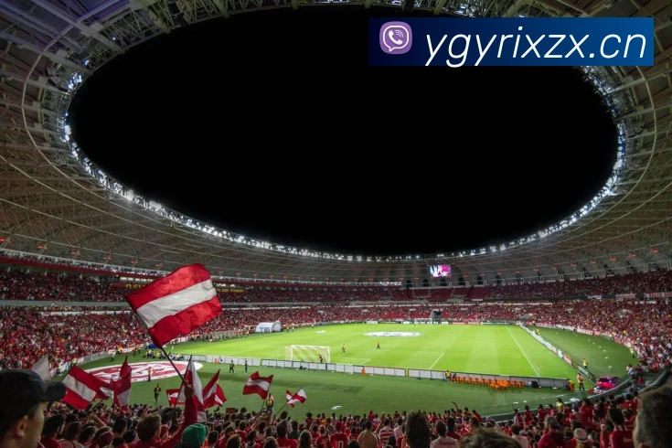 leyu乐鱼官方网页APP 封面图